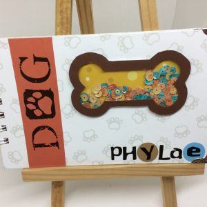 Mini-album Phylae