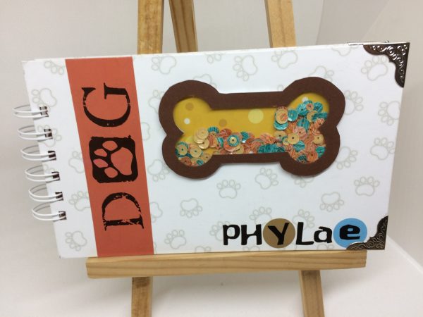 Mini-album Phylae